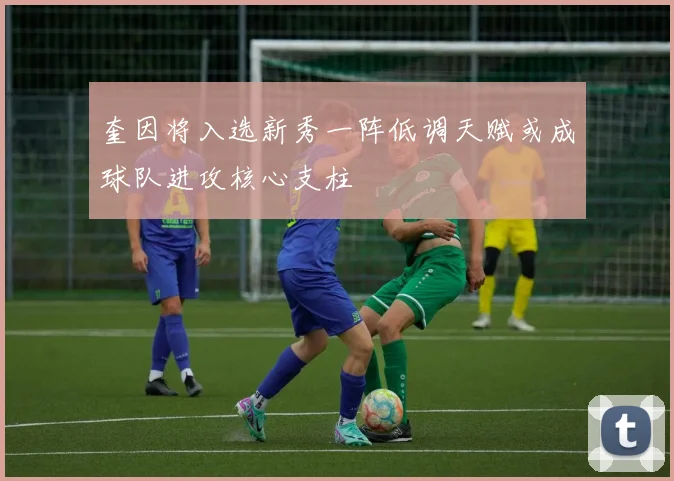 奎因将入选新秀一阵低调天赋或成球队进攻核心支柱